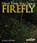 Next Time You See a Firefly, Emily Morgan - Paperback - 9781936959181