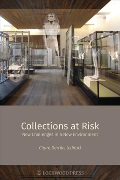 Collections at Risk, Claire Derricks - Paperback - 9781937040604