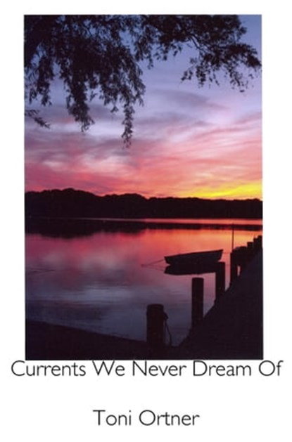 Currents We Never Dream Of, Toni Ortner - Ebook - 9781937050764