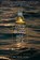 Cold Blood, Hot Sea, Charlene D'Avanzo - Paperback - 9781937226619