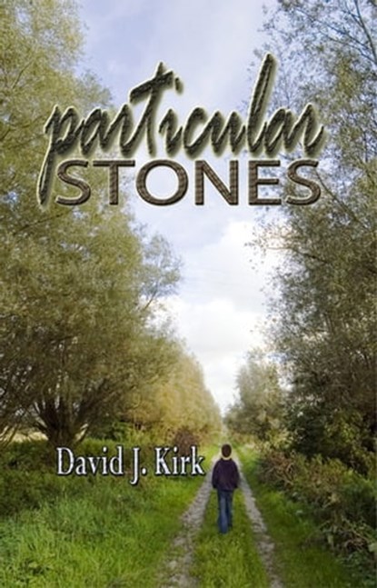 Particular Stones, David J. Kirk - Ebook - 9781937273323