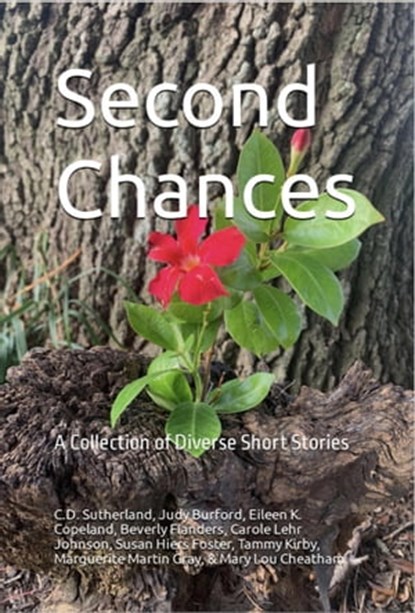 Second Chances, C.D. Sutherland ; Judy Burford ; Beverly Flanders ; Eileen K. Copeland ; Carole Lehr Johnson ; Susan Hiers Foster ; Tammy Kirby ; Marguerite Martin Gray ; Mary Lou Cheatham - Ebook - 9781937366322