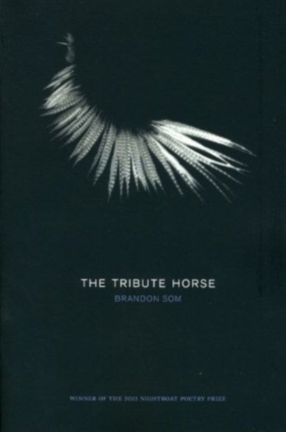 The Tribute Horse, Brandon Som - Paperback - 9781937658182