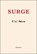 Surge, Etel Adnan - Paperback - 9781937658854
