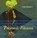 Personal Volcano, Laura Moriarty - Paperback - 9781937658960