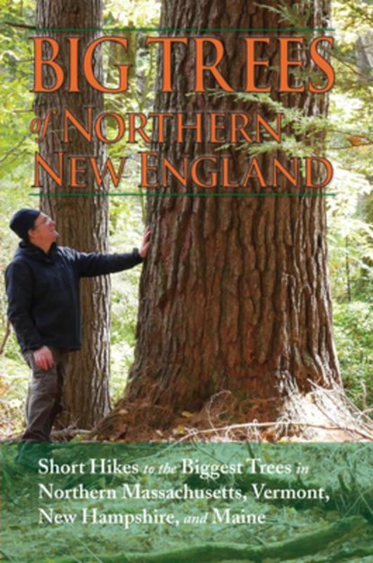 Big Trees of Northern New England, Kevin Martin - Paperback - 9781937721879