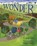 Wonder, Julia Key - Gebonden - 9781937786069