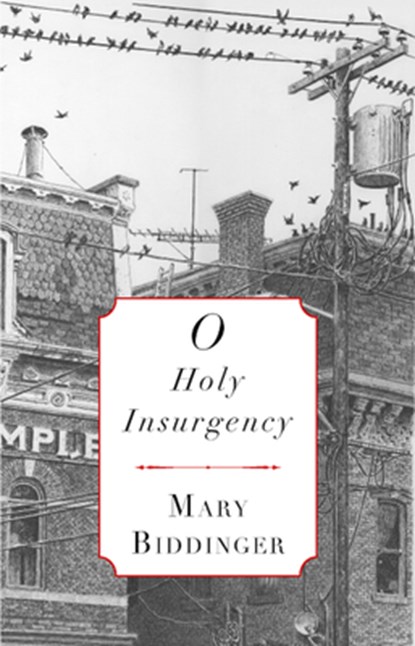 O Holy Insurgency, Mary Biddinger - Paperback - 9781937854201