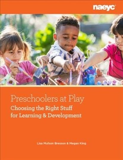 Preschoolers at Play, Lisa Mufson Bresson ; Megan King - Paperback - 9781938113765