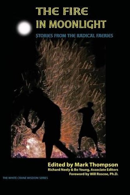The Fire in Moonlight: Stories from the Radical Faeries 1971 - 2010, Mark Thompson - Paperback - 9781938246043
