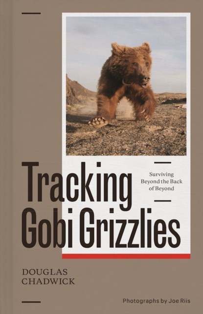 Tracking Gobi Grizzlies, Douglas H. Chadwick - Gebonden - 9781938340628
