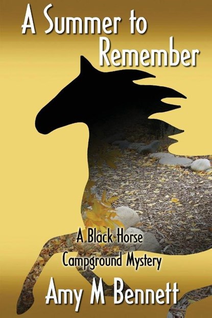 A Summer to Remember, Amy M. Bennett - Paperback - 9781938436222