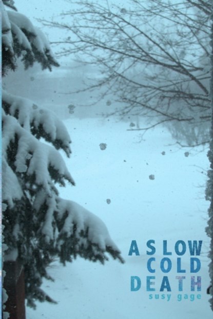 A Slow Cold Death, Susy Gage - Paperback - 9781938463372