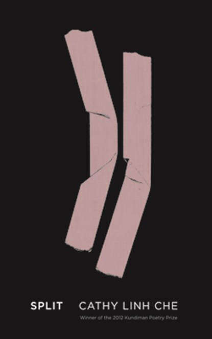 SPLIT, UNKNOWN - Paperback - 9781938584053