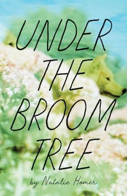 Under the Broom Tree, Natalie Homer - Paperback - 9781938769993