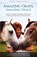 Amazing Grays, Amazing Grace, Lynn Baber - Paperback - 9781938836237