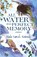 All Water Has Perfect Memory, Nada Samih-Rotondo - Paperback - 9781938841231