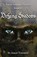 Defying Shadows, Ashley Townsend - Paperback - 9781939156792
