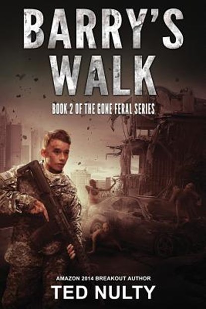 Barry's Walk, Ted Nulty - Paperback - 9781939398772