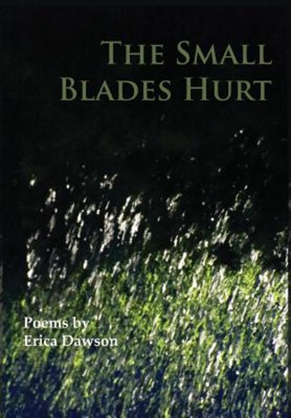 The Small Blades Hurt, Erica Dawson - Gebonden - 9781939574046