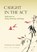 Caught in the Act, Toinette Lippe - Paperback - 9781939681553