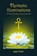 Hermetic Illuminations, Lee Irwin - Paperback - 9781939790781