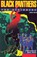 Black Panthers for Beginners, Herb (Herb Boyd) Boyd - Paperback - 9781939994394