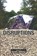 Disruptions, David L Williams - Paperback - 9781940233918