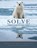 Solve, Kathleen L. Purvis-Roberts ; Thomas Spiro - Paperback - 9781940380100