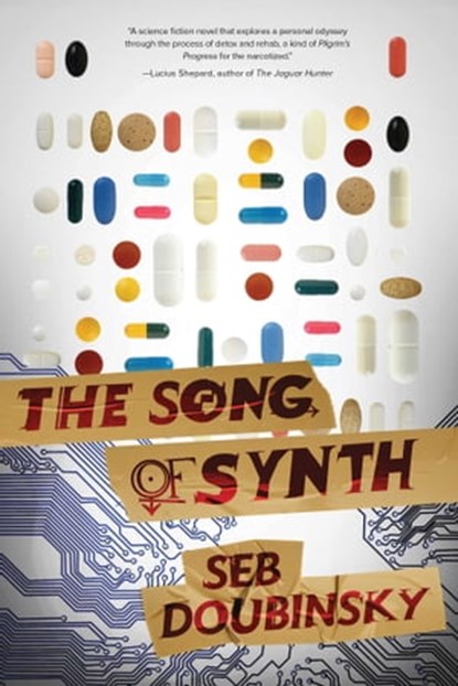 The Song of Synth, Seb Doubinsky - Ebook - 9781940456300