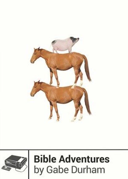 Bible Adventures, Gabe Durham - Ebook - 9781940535593