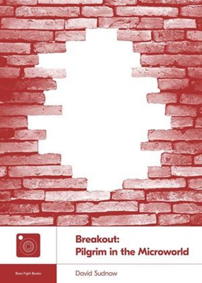 Breakout: Pilgrim in the Microworld, David Sudnow - Ebook - 9781940535760
