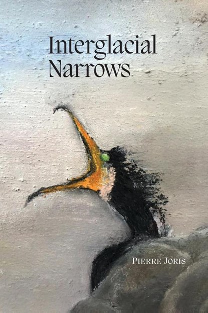 Interglacial Narrows, Pierre Joris - Paperback - 9781940625577