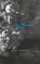 One Thousand & One, Kari Hukkila - Paperback - 9781940625621