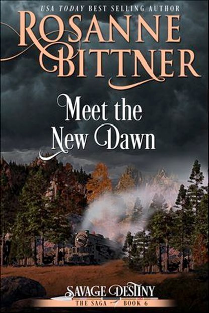 Meet the New Dawn, Rosanne Bittner - Ebook - 9781940941257