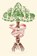 Death In Spring, Merce Rodoreda - Paperback - 9781940953281