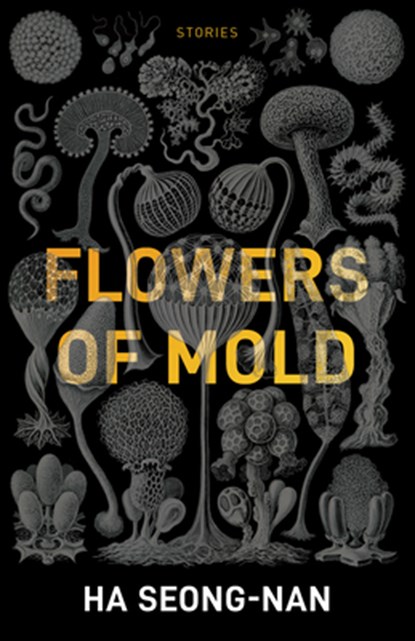 Flowers of Mold & Other Stories, Seong-nan Ha - Paperback - 9781940953960