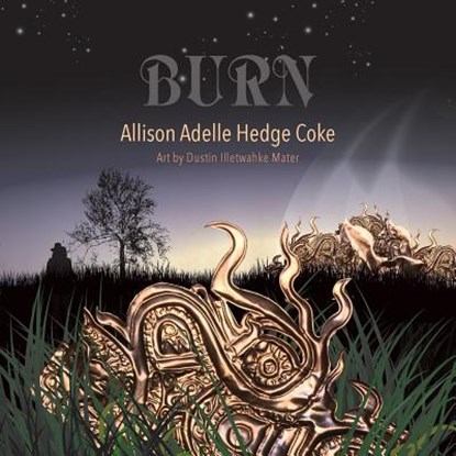 Burn, Allison Adelle Hedge Coke - Paperback - 9781941196458