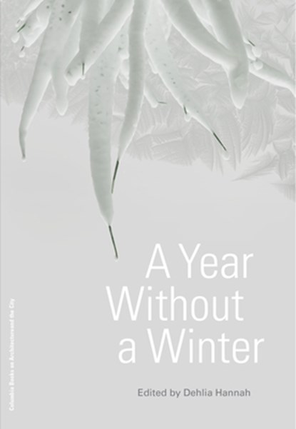 A Year Without a Winter, Dehlia Hannah - Paperback - 9781941332382
