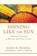 Shining Like the Sun, David H Wenkel - Paperback - 9781941337523