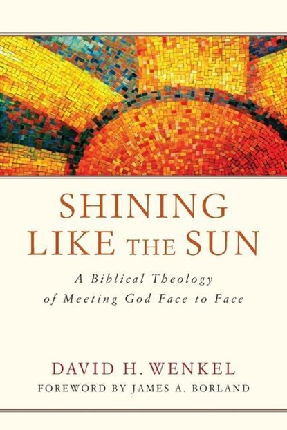 Shining Like the Sun, David H Wenkel - Paperback - 9781941337523