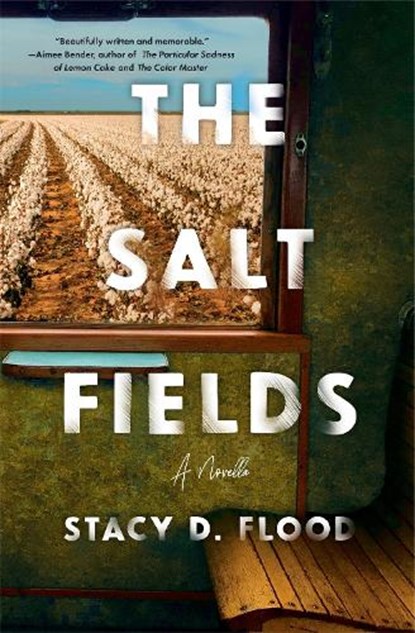 SALT FIELDS, Stacy D. Flood - Paperback - 9781941360491