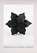 Frank Stella's Stars: A Survey, Frank Stella - Gebonden - 9781941366295