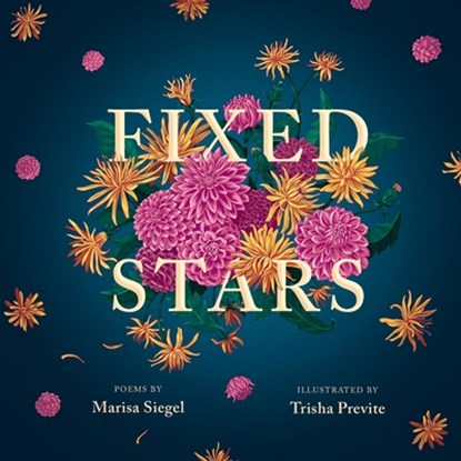 Fixed Stars, Marisa Siegel - Paperback - 9781941681206