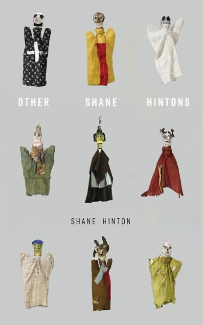 Other Shane Hintons, Shane Hinton - Paperback - 9781941681350