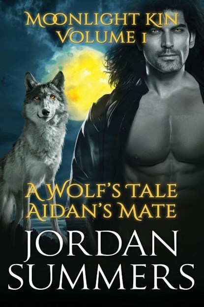 Moonlight Kin Vol. 1, Jordan Summers - Paperback - 9781942237129