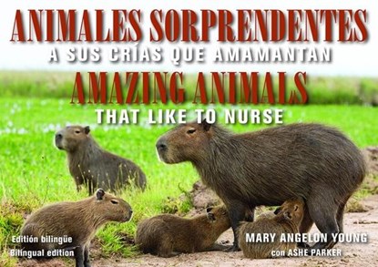 Animales Sorprendentes / Amazing Animals - English & Spanish Bilingual Edition, Mary Angelon (Mary Angelon Young) Young ; Ashe (Ashe Parker) Parker - Paperback - 9781942493495