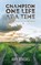 Champion One Life at a Time, BINDAS,  Amy - Paperback - 9781942586470