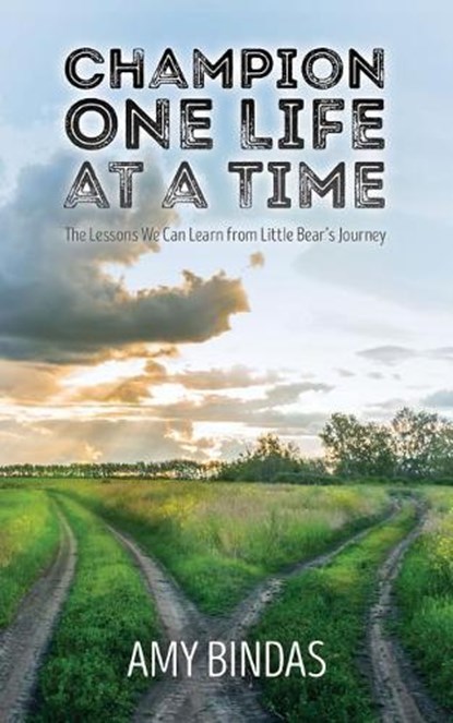 Champion One Life at a Time, BINDAS,  Amy - Paperback - 9781942586470