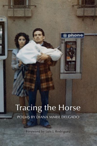 Tracing the Horse, DELGADO,  Diana Marie - Paperback - 9781942683872